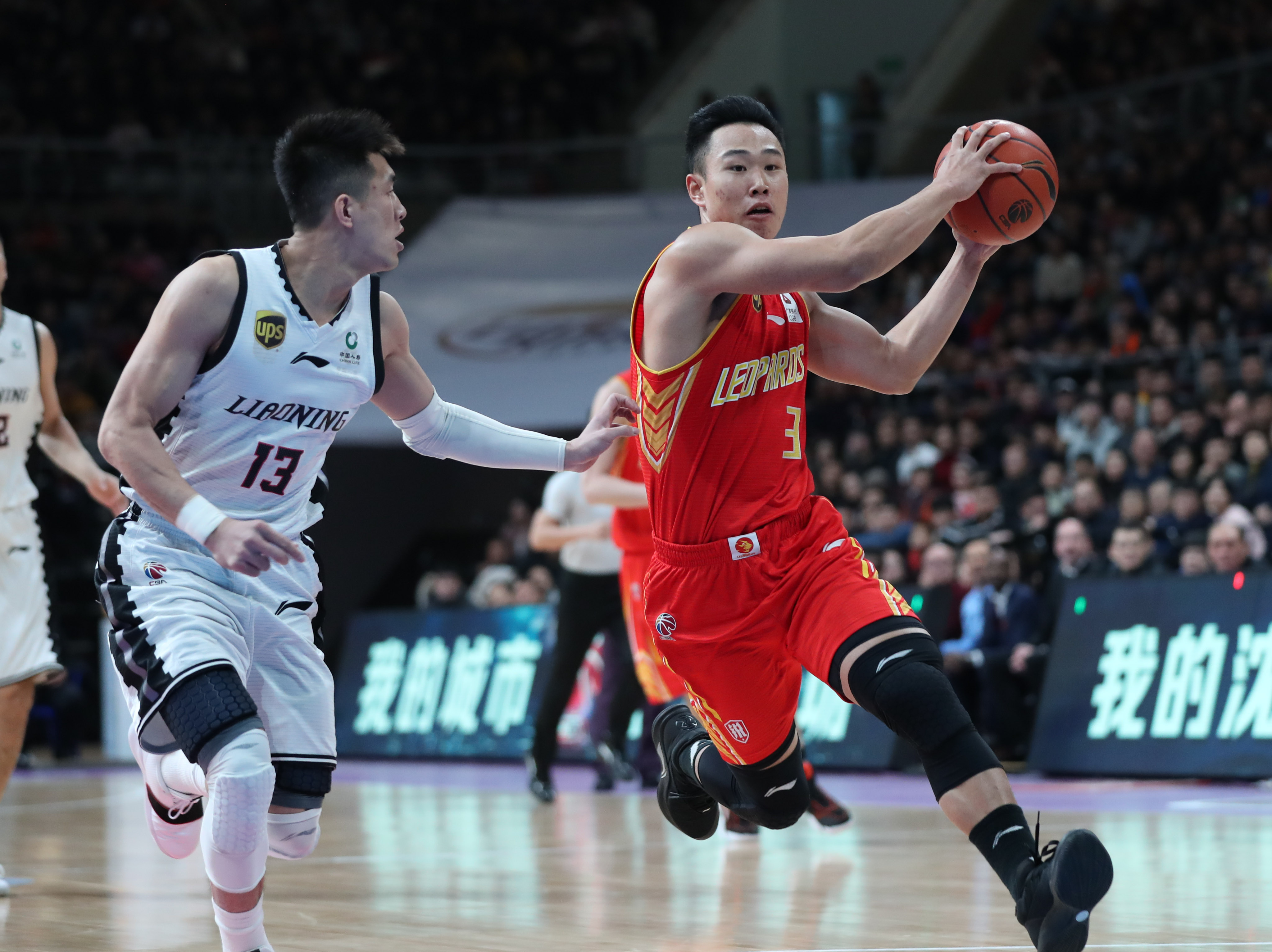 马的未来奠 马的未来奠